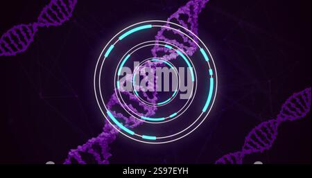 DNA strands and circular digital interface, scientific data processing image Stock Photo