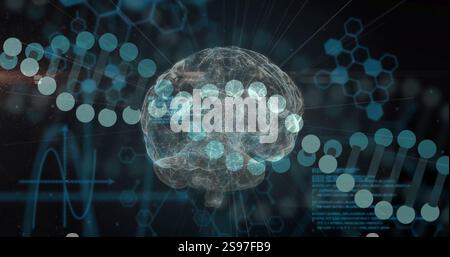 Image of data processing over dna strands and brain Stock Photo