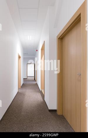 Empty Modern Hallway with Wooden Doors Stock Photo