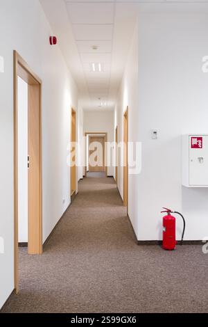 Empty Modern Hallway with Wooden Doors Stock Photo