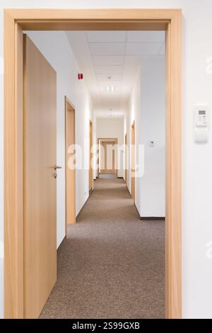 Empty Modern Hallway with Wooden Doors Stock Photo