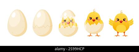 Collection of cute yellow chicken Stock Vector