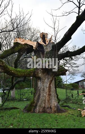 25th, January, 2025. Glasgow Scotland, UK. Weather. Storm Eowyn caused ...