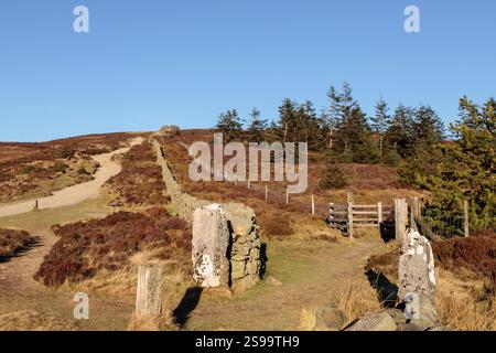 Offa's Dyke path on Moel Famau, Clwydian Range AONB, North Wales Stock Photo
