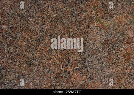 Disk Base Color Texture colour, texture, structure, colours, textures, structures Stock Photo ...