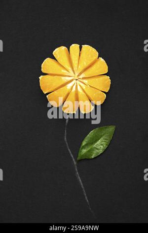 Creative food concept photo of a tangerine as a flower on a black background Stock Photo