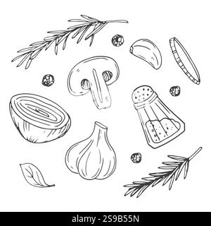 Falling garlic with herbs and spices. Cooking spicy food concept. Drawn engraved vector illustration Stock Vector