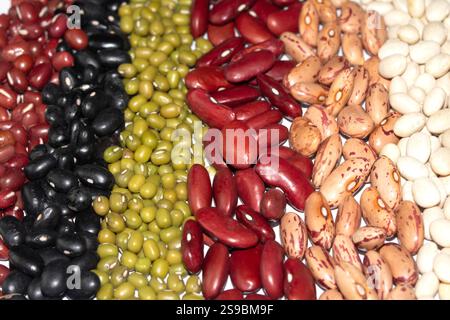 A Close Up of Dried Mixed Beans and Pulses in Lines on a White Background Stock Photo