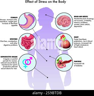 Medical illustration of effect of stress on the body, with annotations. Stock Vector