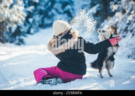 A child playing in the snow with her Shetland Sheepdog Stock Photo
