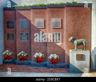 Inside Sanford Stadium at UGA in Athens, GA Stock Photo - Alamy