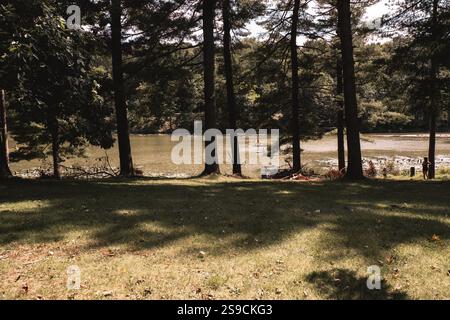 A serene river area is framed by tall trees, casting shadows on the grassy bank. People can be seen enjoying the sunny weather, engaging in relaxation Stock Photo