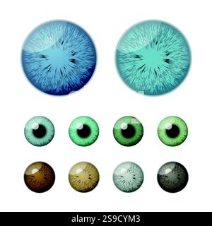 Realistic Vector Isolated Round Eyeballs Set With Various Pupil Colors. Detailed Eye Icons, Realistic Eyes, Eyeball Designs For Medical Illustrations Stock Vector