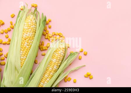 Fresh corn cobs with seeds on pink background Stock Photo