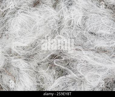 close up of white fishing lines and nets made of nylon looking like thin cotton wool or grey hair laid down on the floor Stock Photo