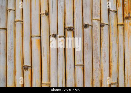 bamboo fence texture natural wall. Stock Photo