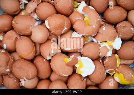 Crushed soft-boiled chicken eggs Stock Photo