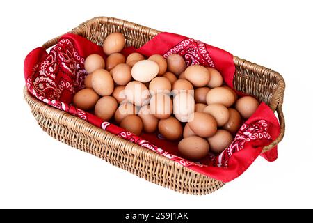 Basket with barn eggs Stock Photo