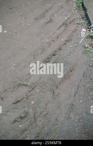 Tire tracks imprinted on a wet, muddy surface. Stock Photo