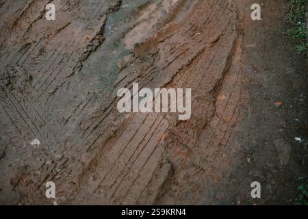 Tire tracks imprinted on a wet, muddy surface. Stock Photo