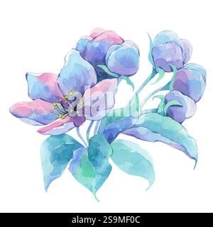 Branch with flowers. Apple tree flowers. Set. Watercolor Stock Photo
