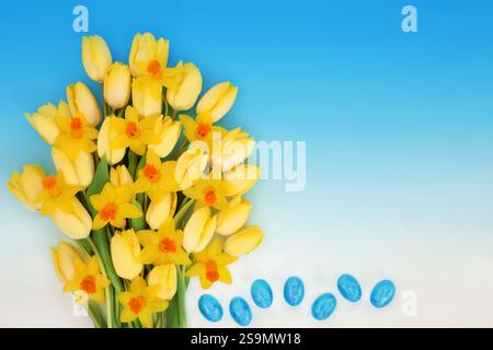 Easter eggs and yellow narcissus and tulip flowers of Spring on gradient blue white background, floral seasonal nature composition. Stock Photo