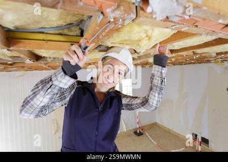 female constractor working and using screwdriver Stock Photo