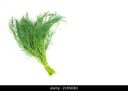 Bunch of fresh green dill isolated on white background, green leaf vegetable, healthy food, (Anethum graveolens) Stock Photo