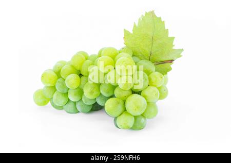 Bunch of fresh green grape with leaf isolated on white background, clipping path. Green fruit concept Stock Photo