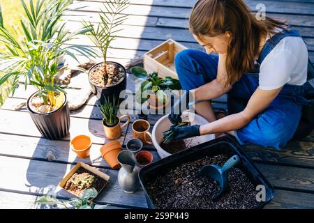 Adult woman taking care of her houseplants with care, sitting on terrace outdoor with smile, replanting succulents in bigger pots. Gardening, plant Stock Photo