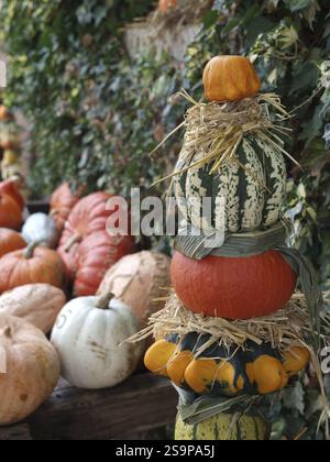 Various pumpkins stacked decoratively with hay and plants in the background, borken, muensterland, germany Stock Photo