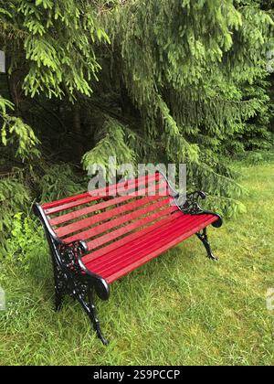Red bench with raindrops in front of a pine forest, in a garden Stock Photo