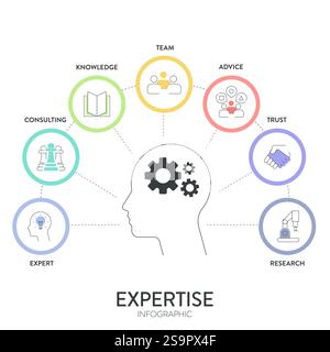 Expertise framework infographic diagram chart banner with illustration icon vector template has expert, advice, team, trust, research, consulting and Stock Vector