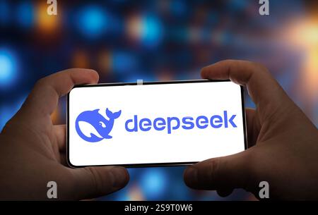 deepseek-chinese-ai-artificial-intellige