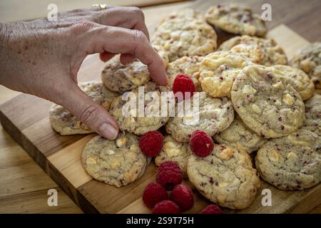 Freshly baked raspberry and white chocolate cookies, with one being picked to eat Stock Photo