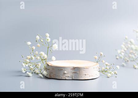 Empty wood cut poduim and white gypsophila flowers for product display, copy space. Wooden birch pedestal with floral decor on light gray background, Stock Photo