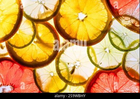 Backlit slices of orange, lemon, lime, and grapefruit Stock Photo