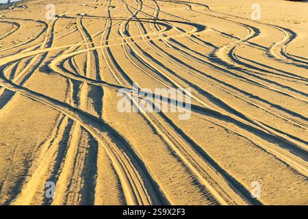 Faiyum Oasis, Egypt. Tire tracks in desert sand. Stock Photo