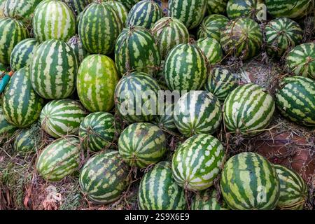 Fes, Morocco. Striped melons for sale in the medina Stock Photo