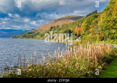 Autumn landscape colours, St. Fillans, Loch Earn, Perthshire, Scotland, UK Stock Photo