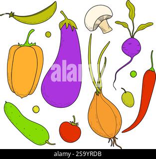 Set of vector colored vegetables, menu design, vegetarians, nutritionists. Onions, eggplants, tomatoes, peas, beans, carrots, potatoes, radishes Stock Vector