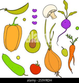 Set of vector colored vegetables, menu design, vegetarians, nutritionists. Onions, eggplants, tomatoes, peas, beans, carrots, potatoes, radishes Stock Vector