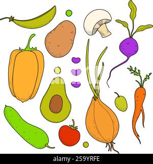 Set of vector colored vegetables, menu design, vegetarians, nutritionists. Onions, eggplants, tomatoes, peas, beans, carrots, potatoes, radishes Stock Vector