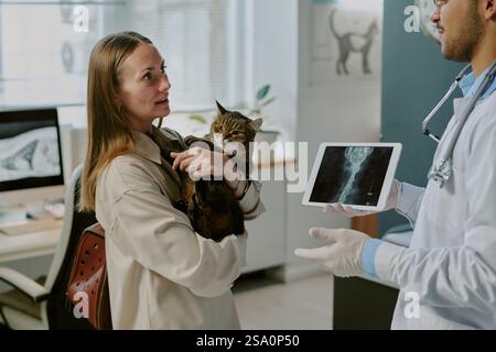 Vet using tablet for analyzing cat's X-ray while owner holding pet during visit in modern clinic. Veterinary consultation in clean and professional environment Stock Photo