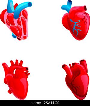 Human heart. The heart with the venous system. Cardiology, anatomy ...