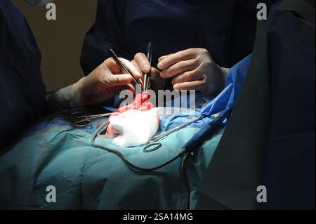 Operating room in pediatric surgery on a child. Pediatric surgery ...