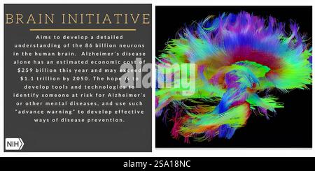 A graphic with a few facts about the BRAIN Initiative research program ...