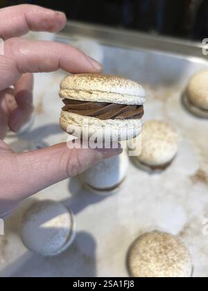 Macarons with chocolate gingerbread ganache, Vienna Austria Stock Photo