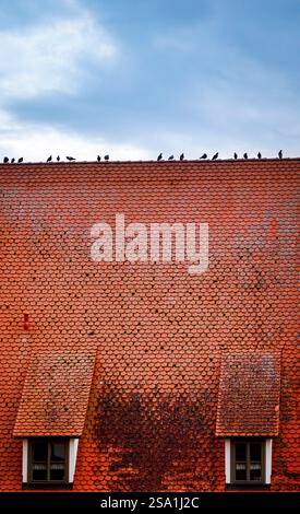 A rustic red-tiled roof with a weathered appearance, featuring two small dormer windows. Several birds are perched along the roof's edge against a clo Stock Photo