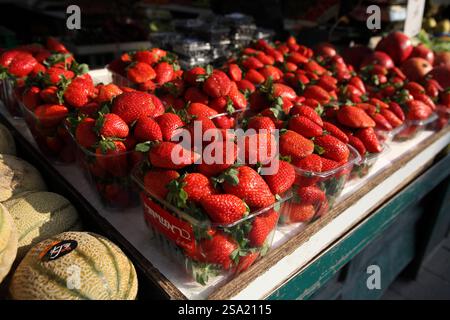Strawberries in boxes & melons, fresh produce on sale on a market stall, sunny day at the Machane Yehuda Market in Jerusalem Stock Photo